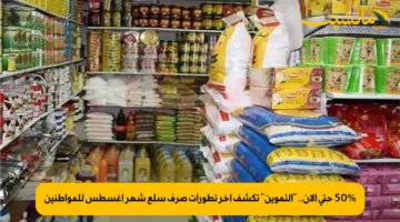 50% حتى الآن.. “التموين” تكشف آخر تطورات صرف سلع شهر أغسطس للمواطنين
